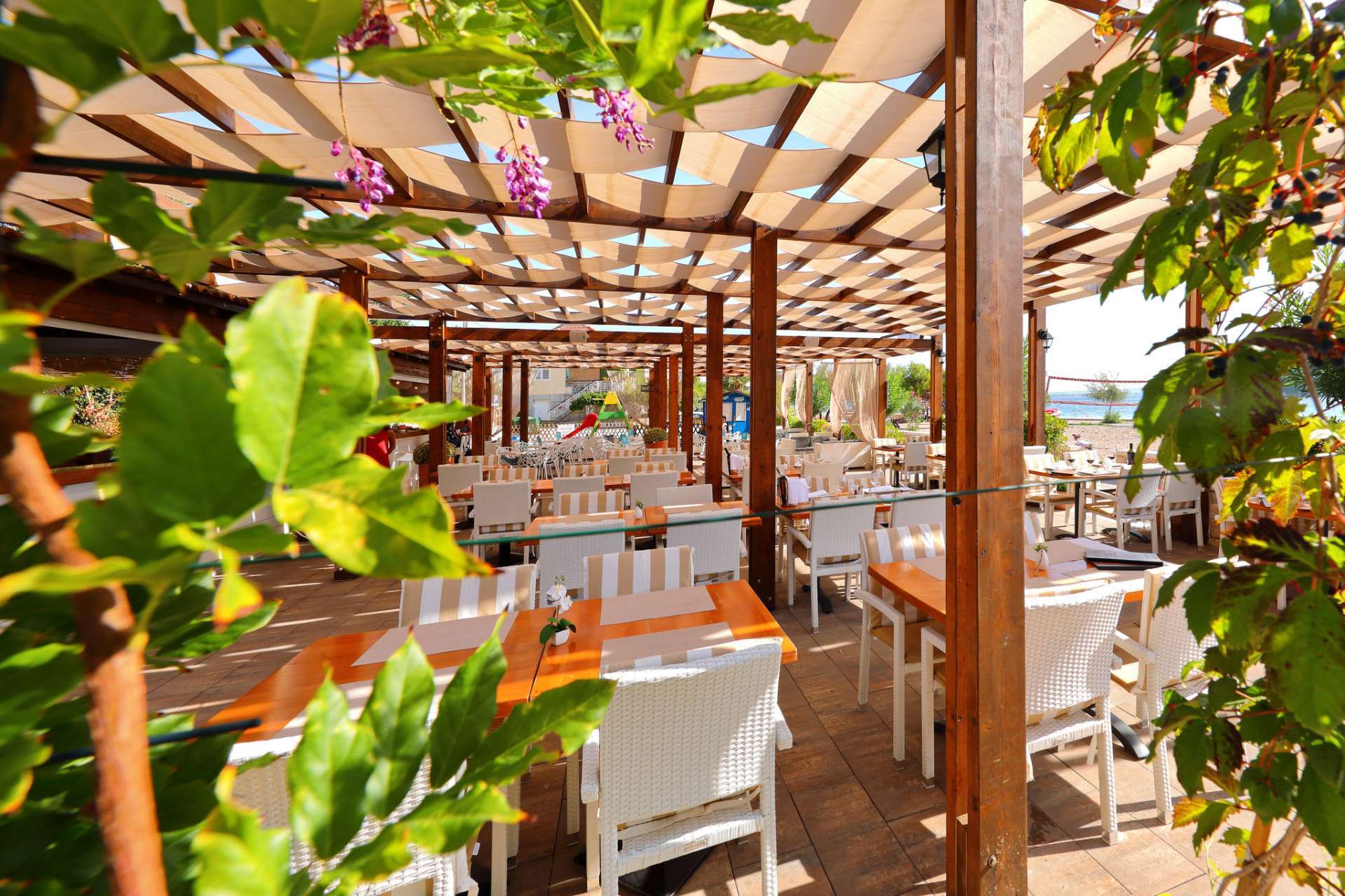 Restaurant & Bar